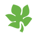 Biodegradable icon