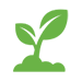 seedling icon for organic