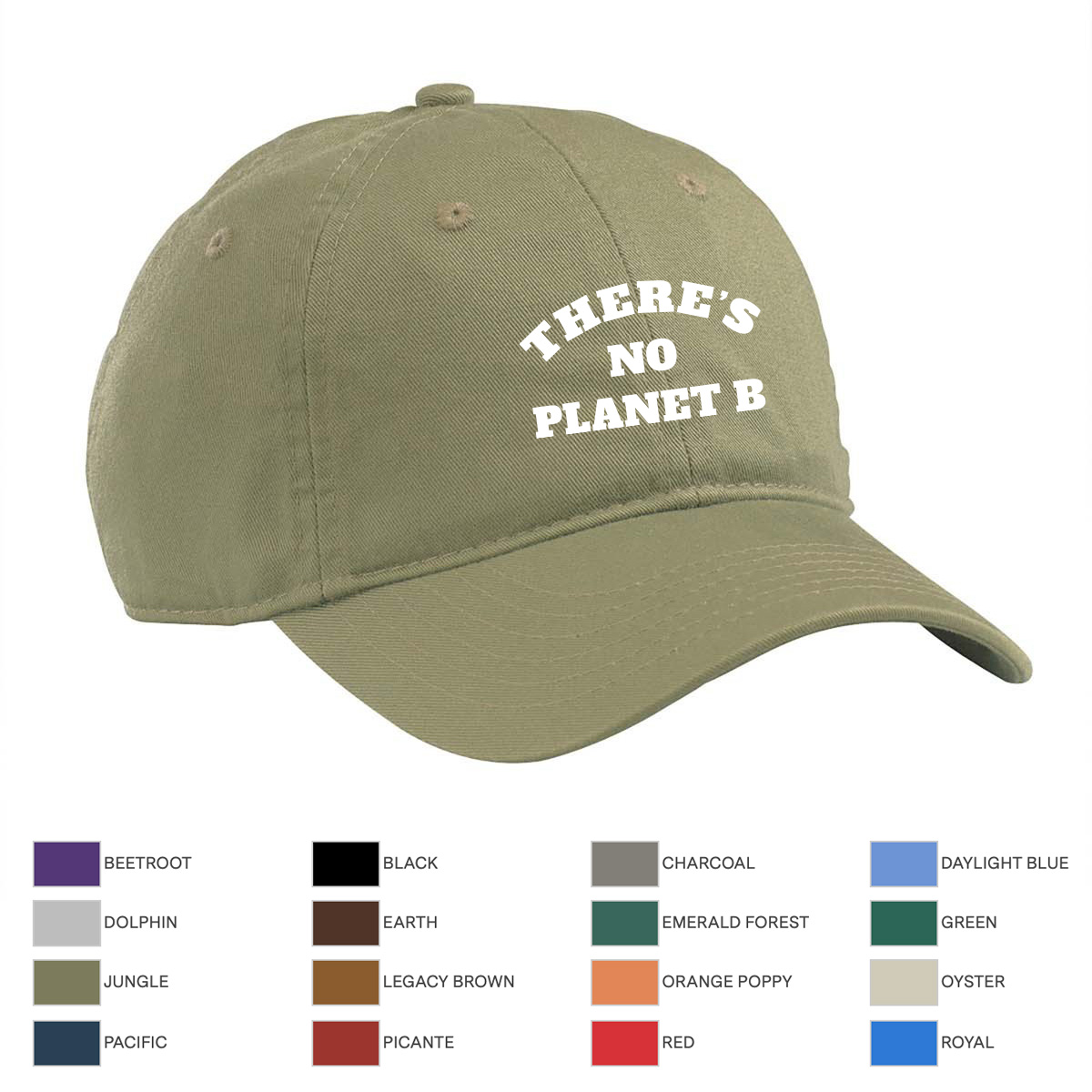 There's No Planet B Earth Day Science March Organic Embroidered Hat