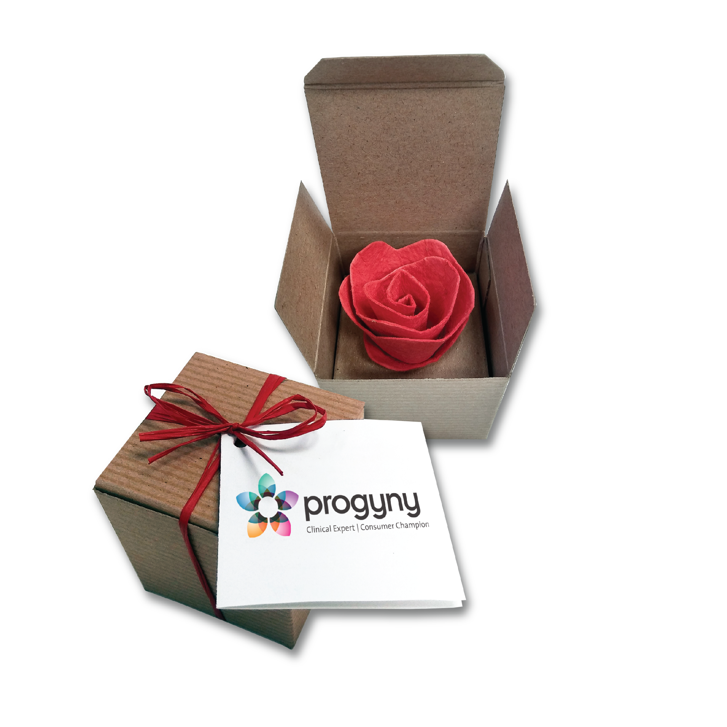 Seed Paper Rose Gift Box  Recycled USA Made  Single Rose
