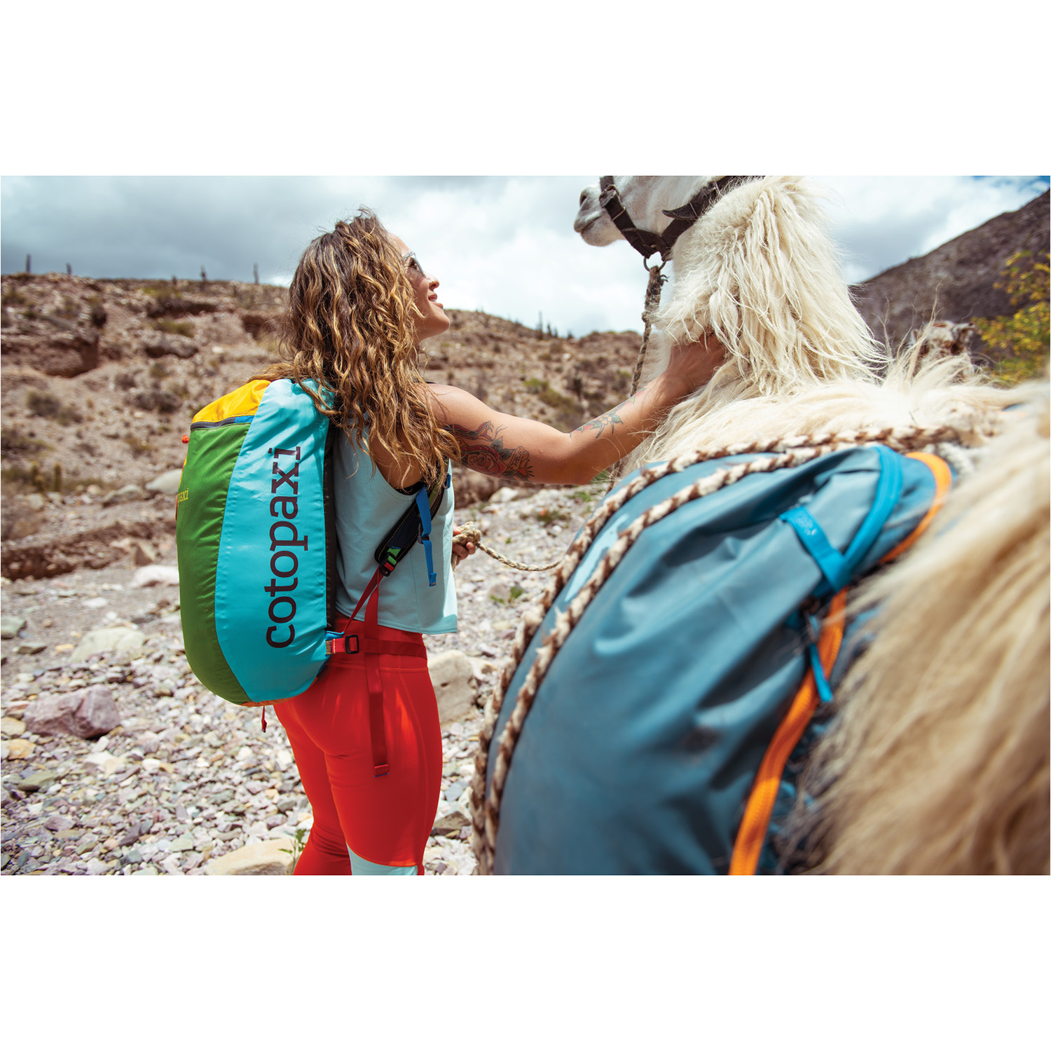 Recycled Cotopaxi Luzon Backpack
