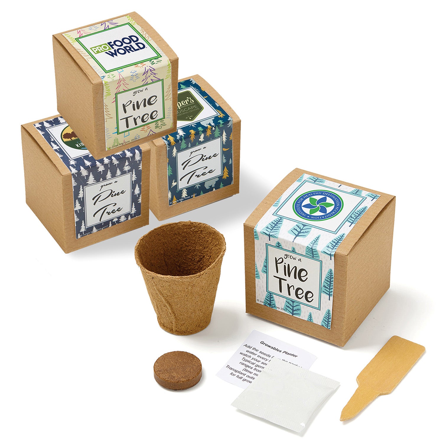 Pine Tree Growables Planter in Kraft Gift Box