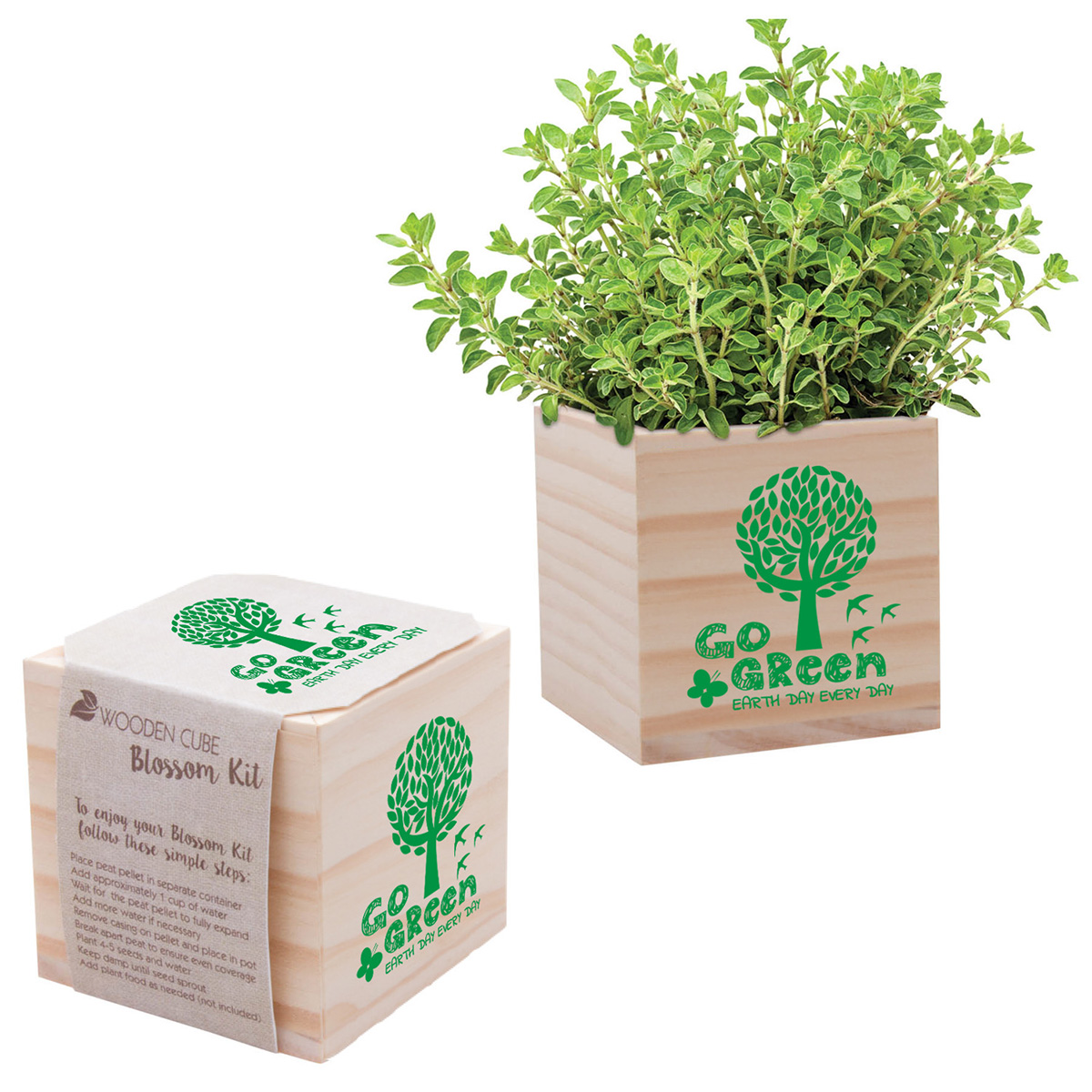 Earth Day Wooden Cube Planting Kit Promotional Product