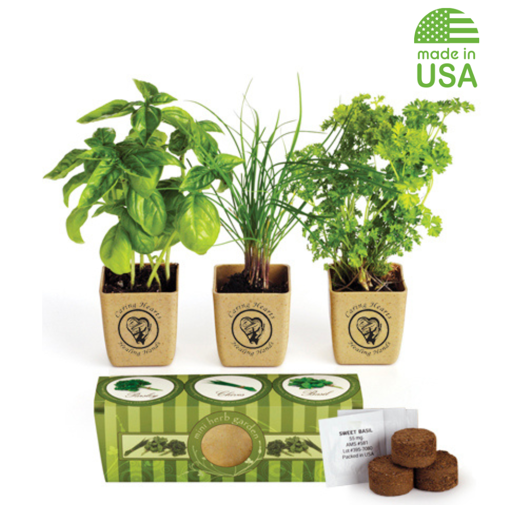 Custom Mini Herb Garden | Biodegradable | USA Made