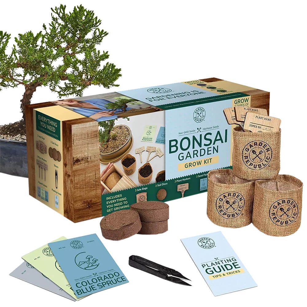 Custom Bonsai Tree Starter Kit | Multi-Variety Bonsai Seed Set 