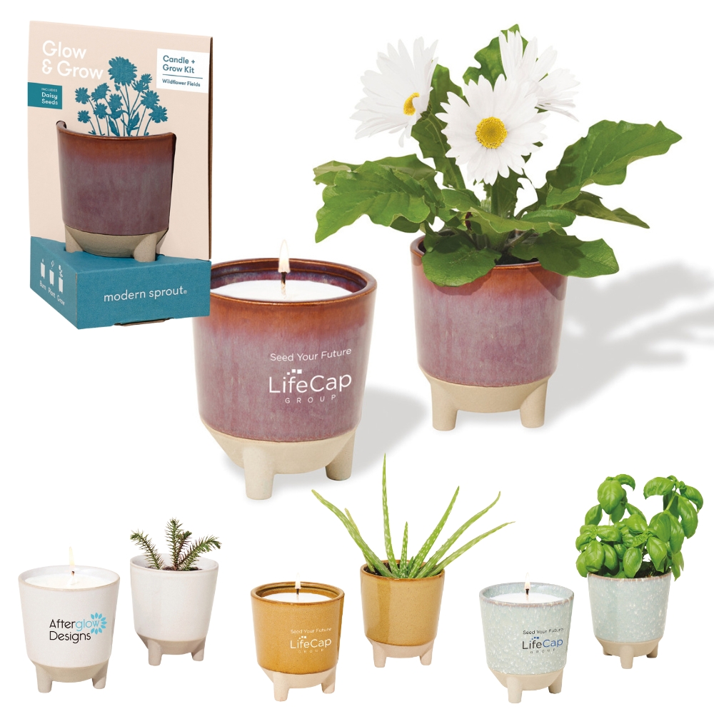 Modern Sprout® 12 oz Candle Grow Set