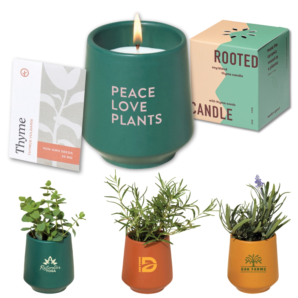 Modern Sprout® Rooted 6 oz Candle