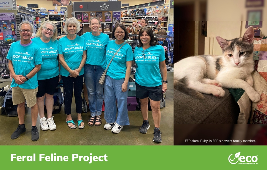 Customer Highlight: Feral Feline Project