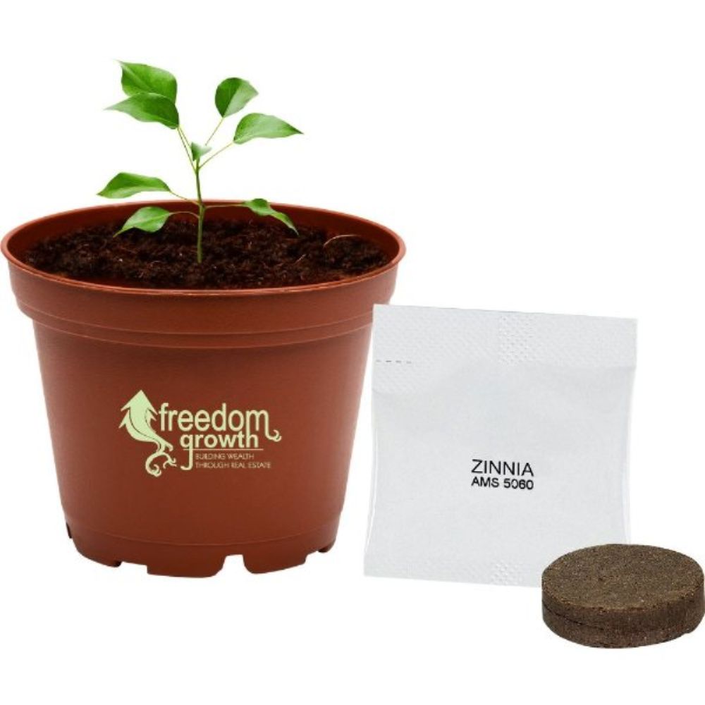 Mini Terra Cotta Planter Kit | USA Made