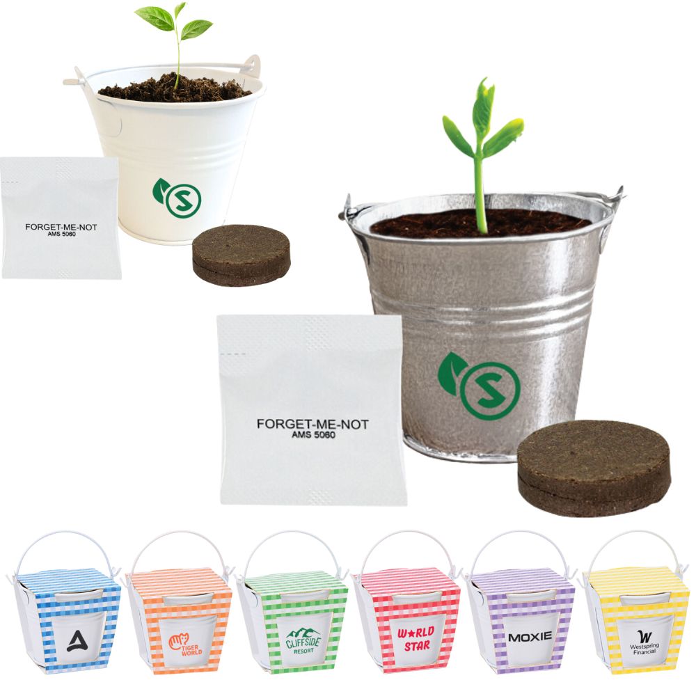 Planter Kit in Mini Bucket