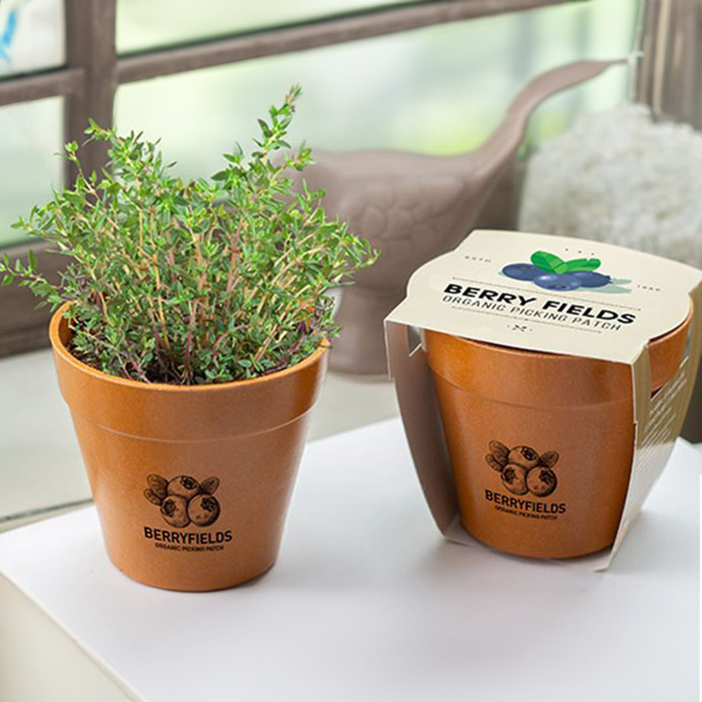 Bamboo pot grow kit with logo