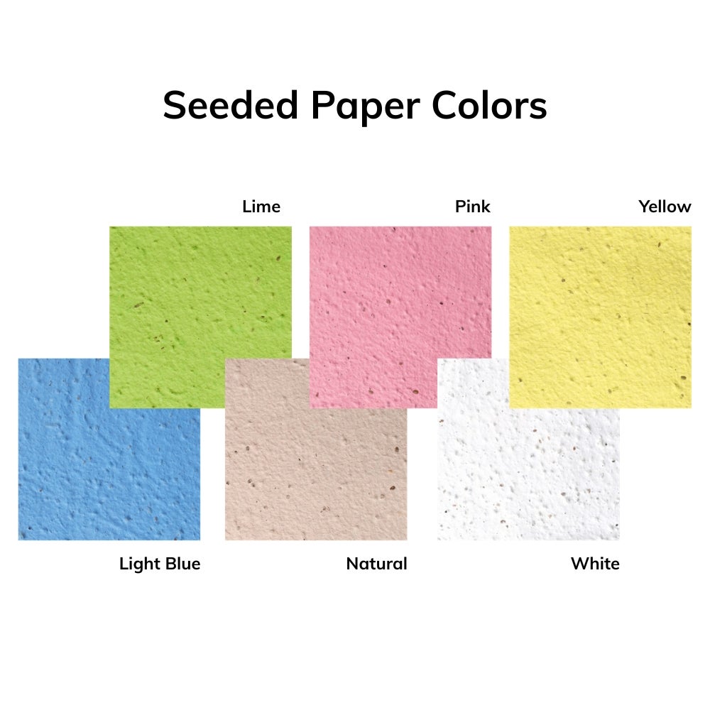 Seeded Paper Colors