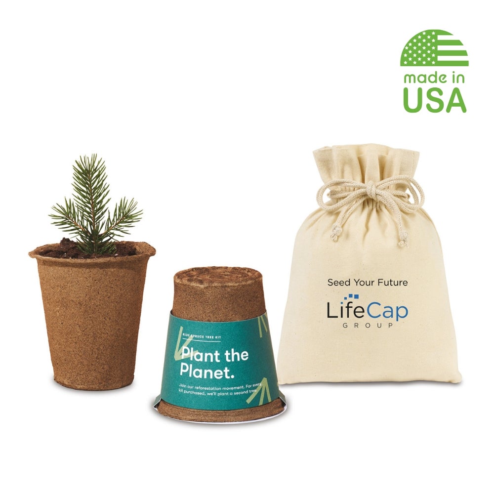 Modern Sprout One for One Spruce Custom Tree Kit USA Made