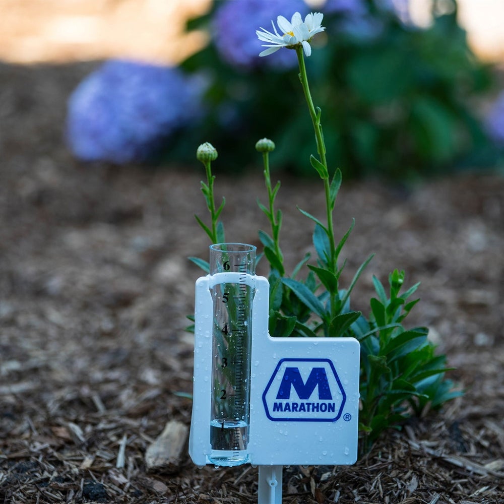 Custom Jumbo 6" Measure Rain Gauge Lifestyle