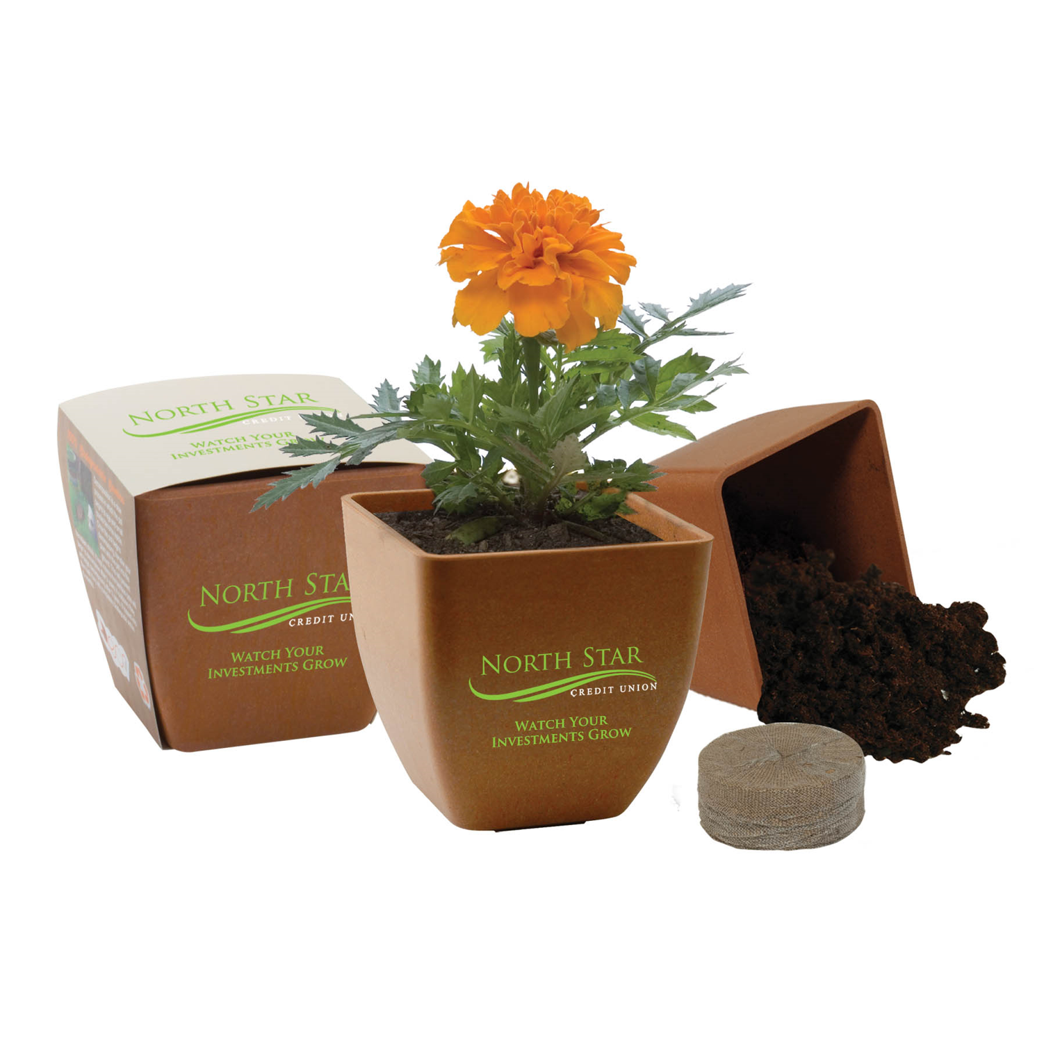 Bamboo Planting Kit earth day planter promo