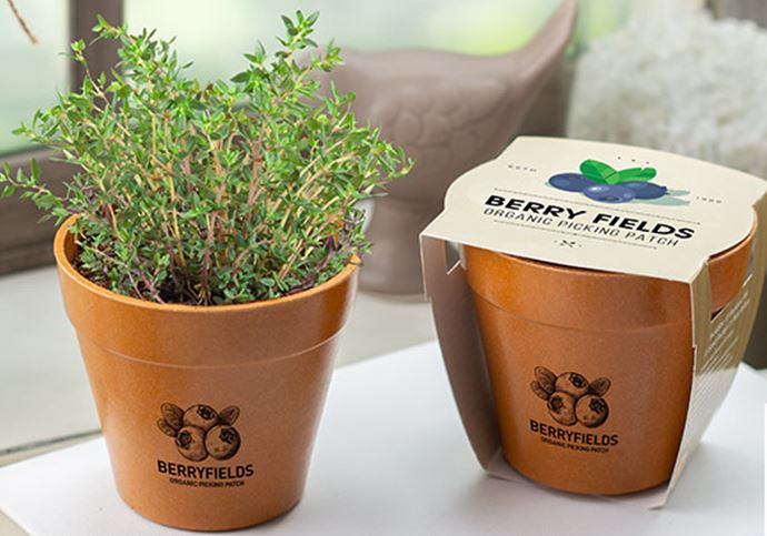 Bamboo pot grow kit with logo