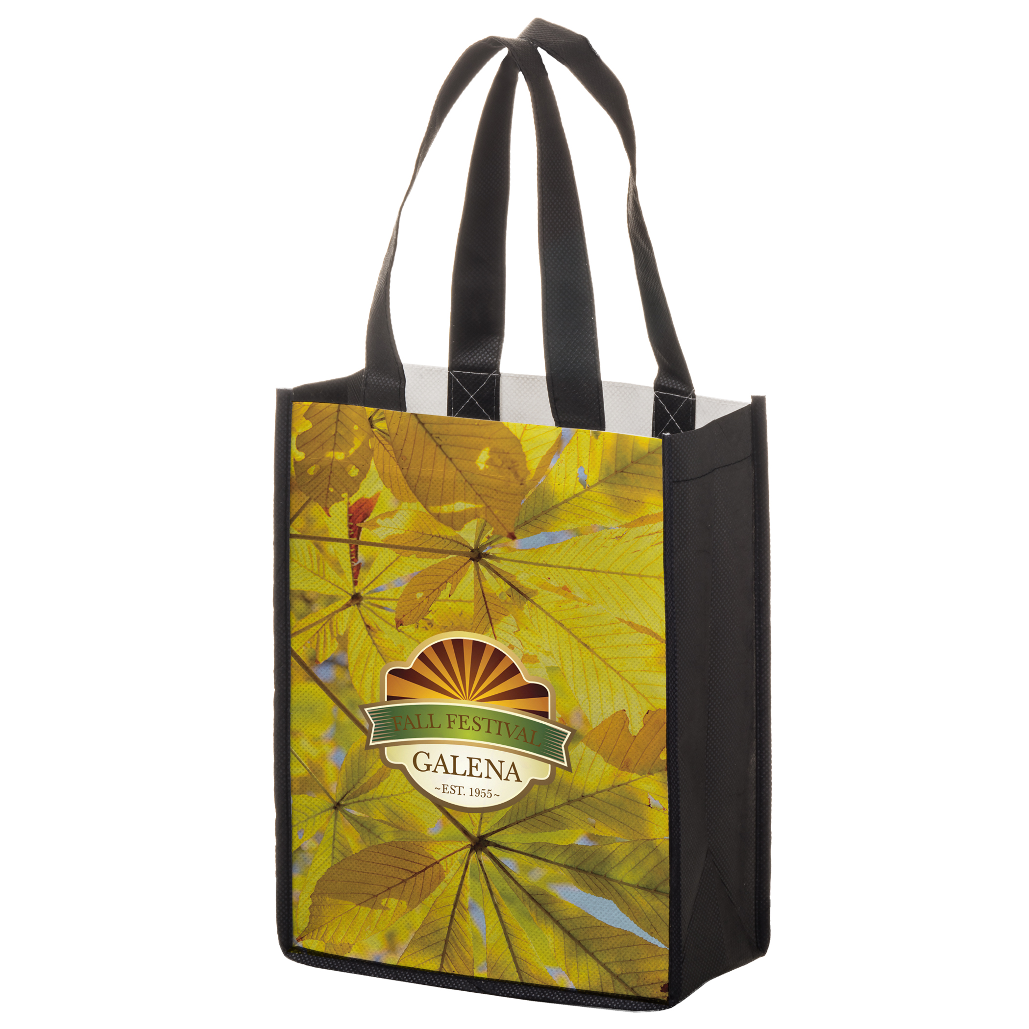Full Color Non Woven PET Shopping Bag Eco Friendly Reusable Bag Eco Friendly Promotional Bag