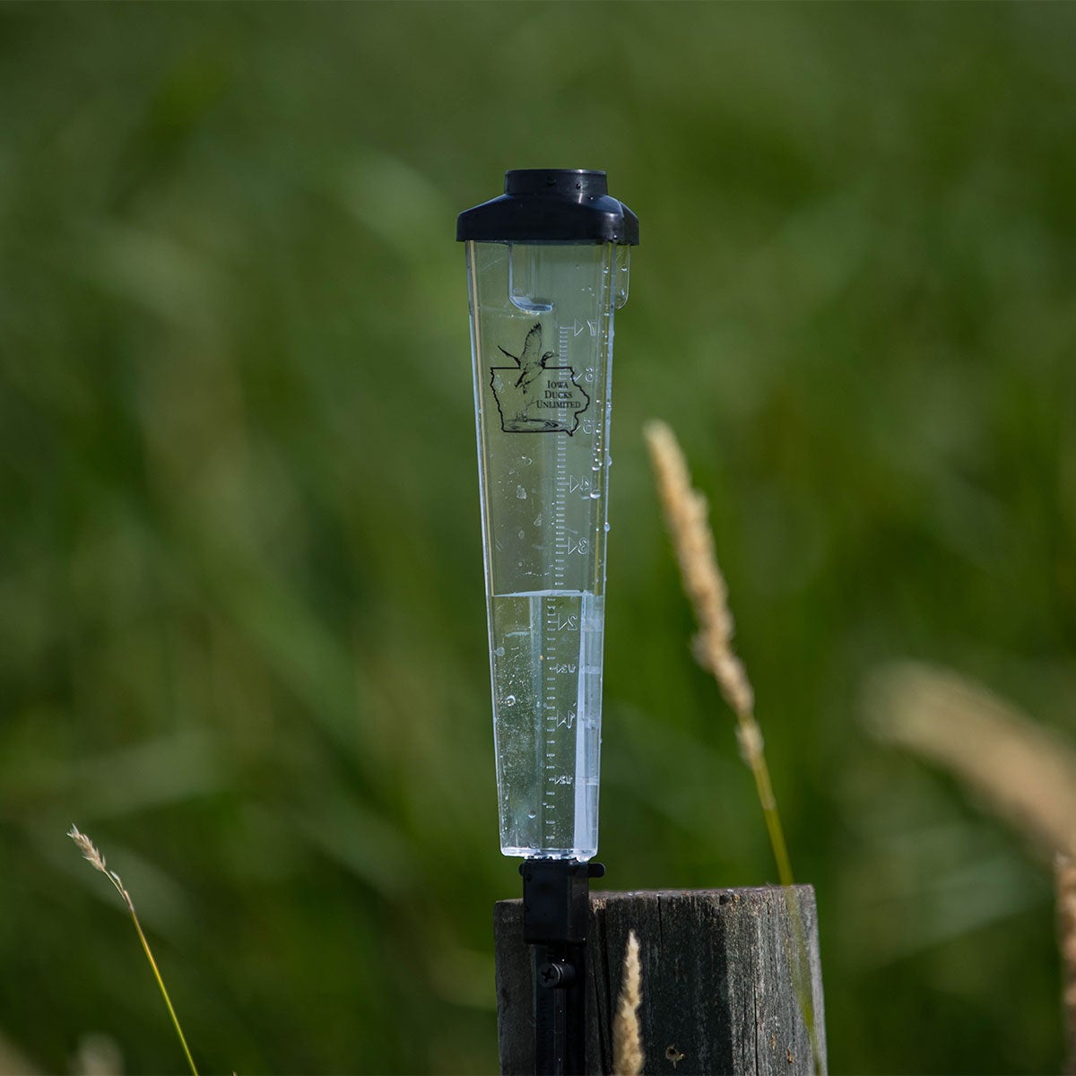 Custom Rain Gauge | USA Made