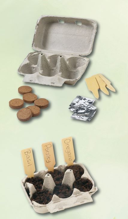 Herb Kits | Recycled Egg Cartons