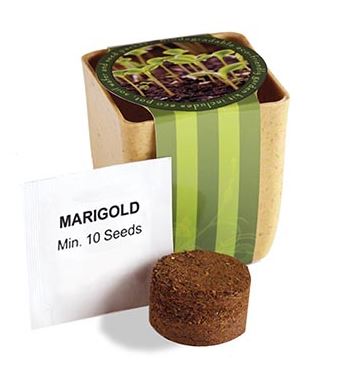 Eco friendly promotional planter | seeds