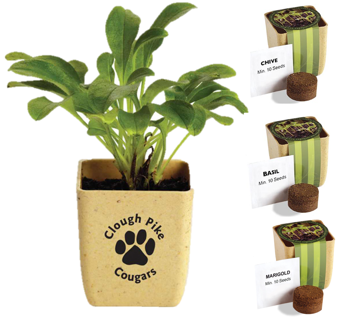 Personalized Eco Friendly Planter with Seeds
