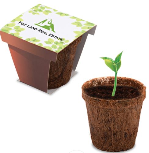 Plant Starter Kit | USA Made