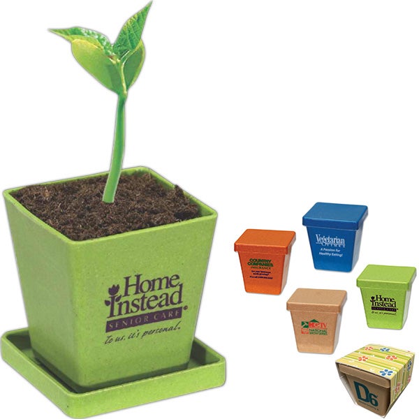 Bamboo Planter | Seed Kit | USA Made