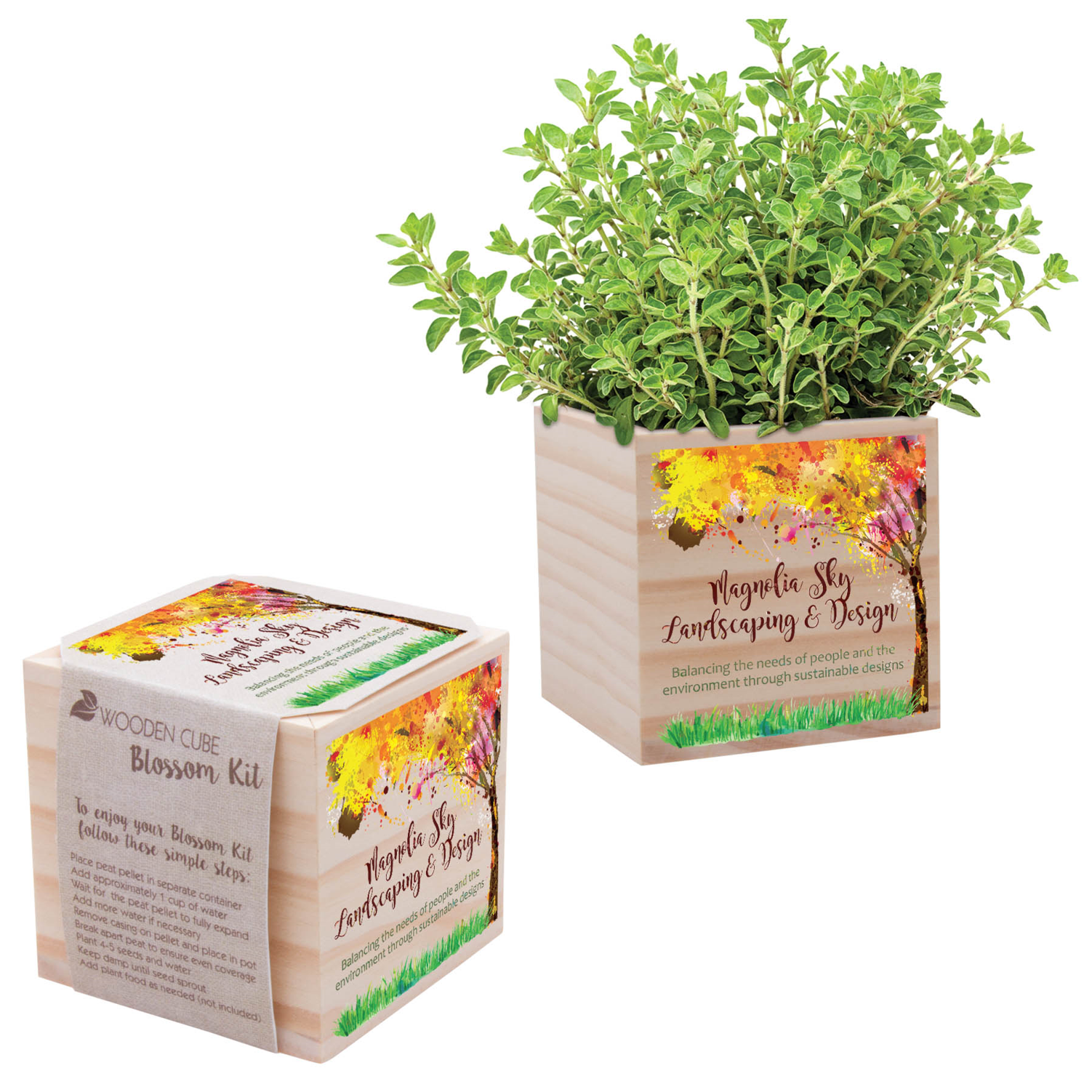 Wooden Cube Planting Kit Promotional Product