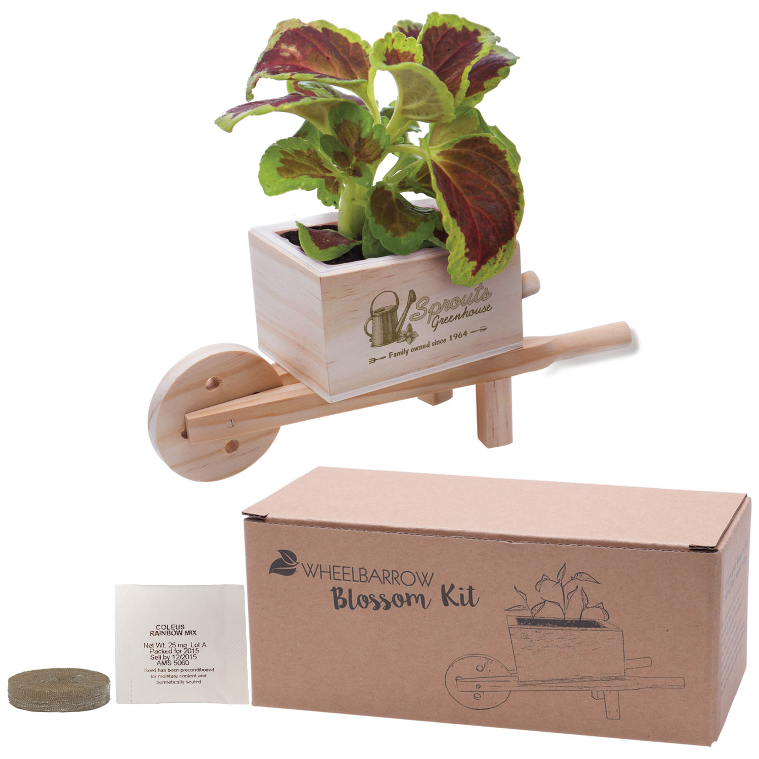 Wooden Wheel Barrow Planter Kit