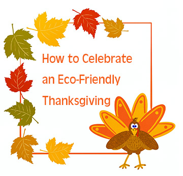 How to Celebrate an Eco-Friendly Thanksgiving 2019