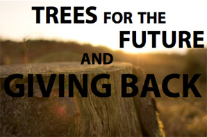 Trees for the Future and Giving Back