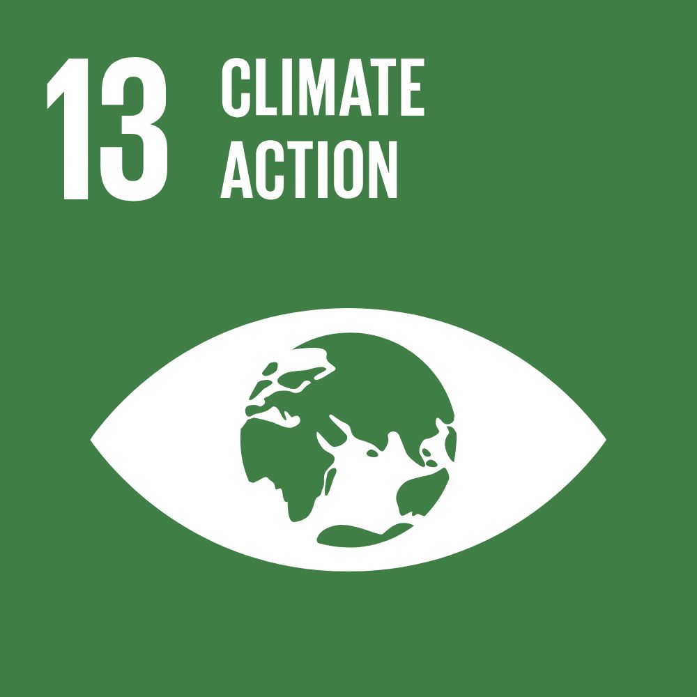 dark green background with white icon of eye and earth and white text reading "13 climate action"