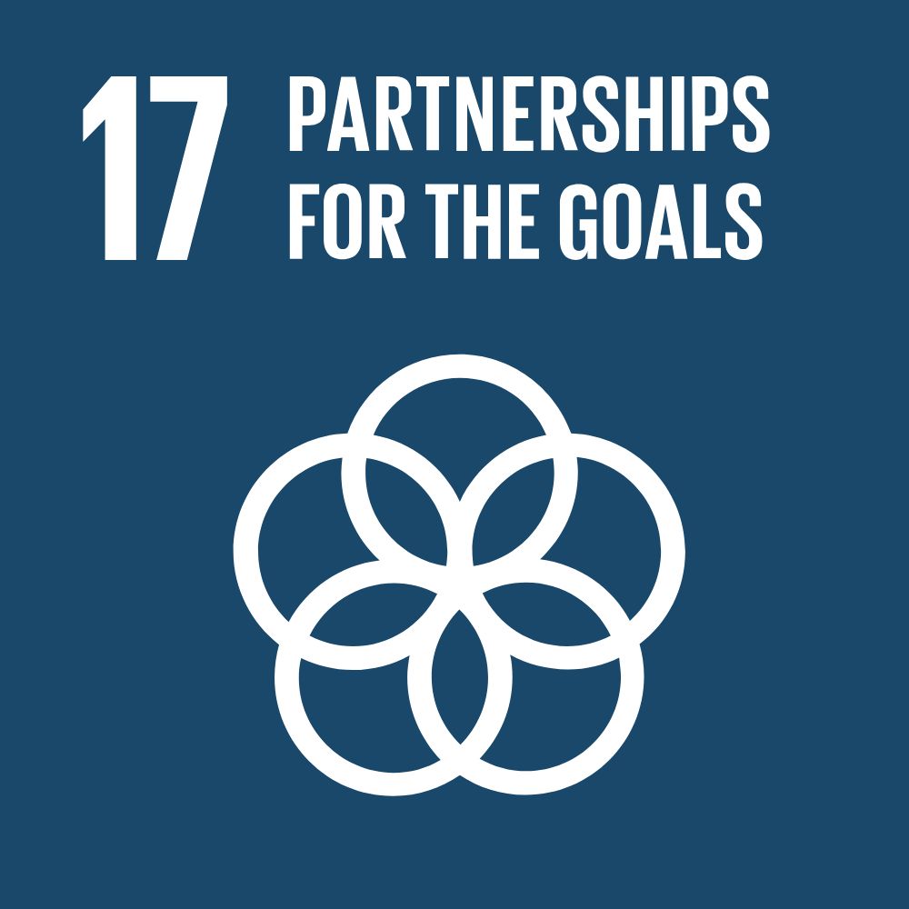 dark blue background with white icon of 5 overlapping circles and white text reading "17 partnership for the goals"