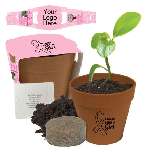 planter kit with a fully grown plant