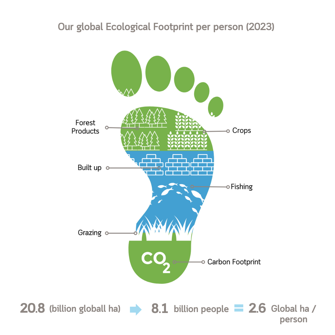 graphic illustration of ecological footprint per human