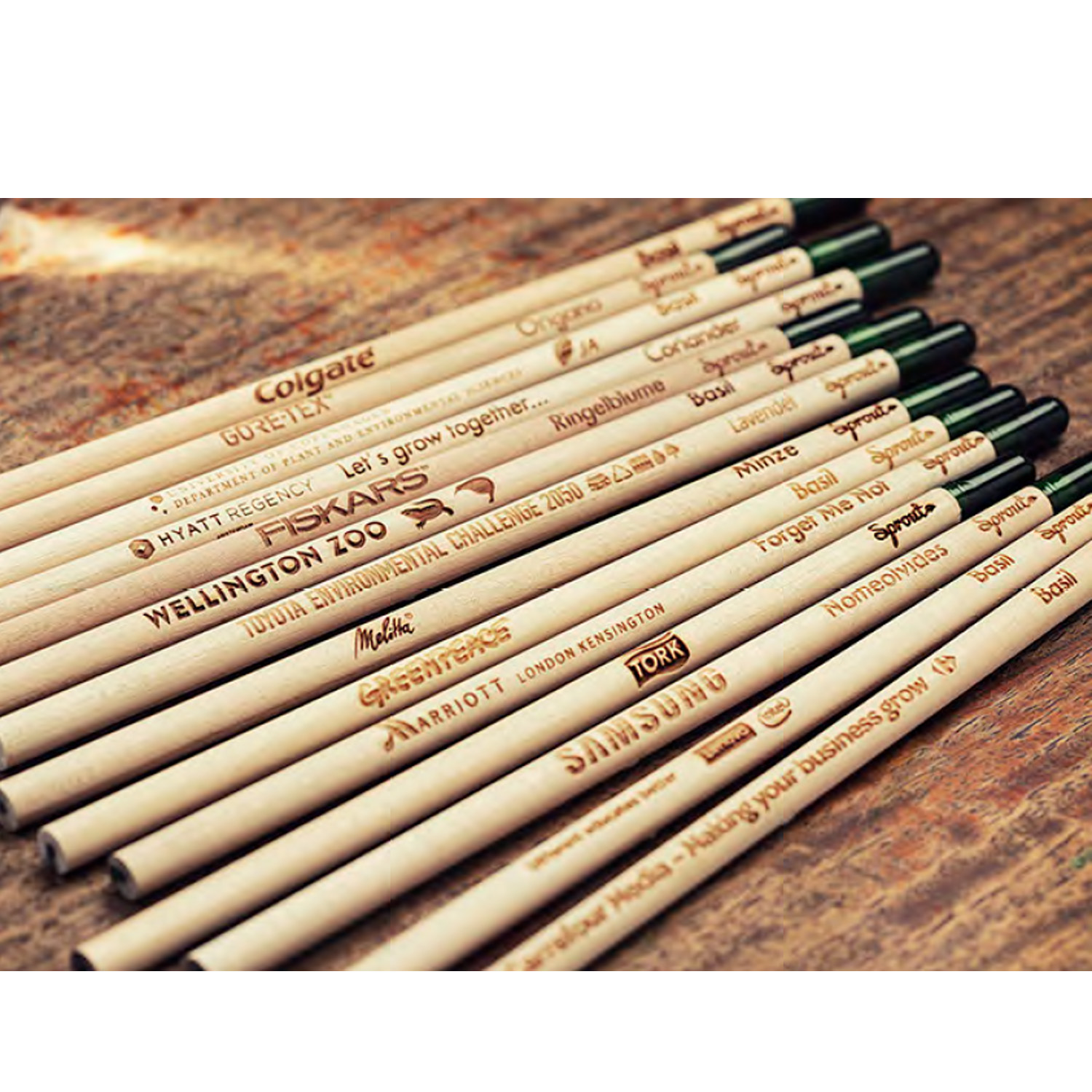 plantable pencils with various seed types for eco-friendly gifts