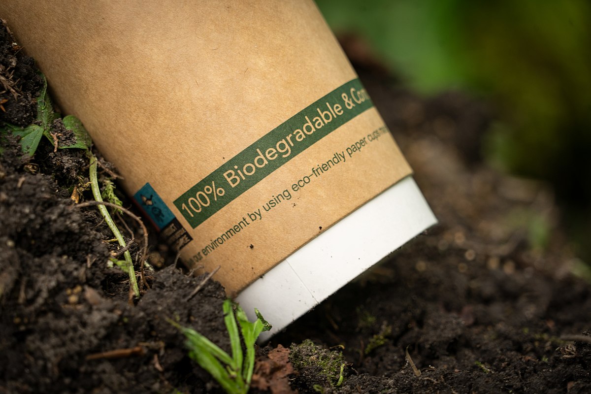  biodegradable coffee cup