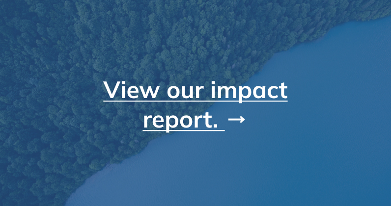 photo of trees and ocean with text reading "view our impact report"