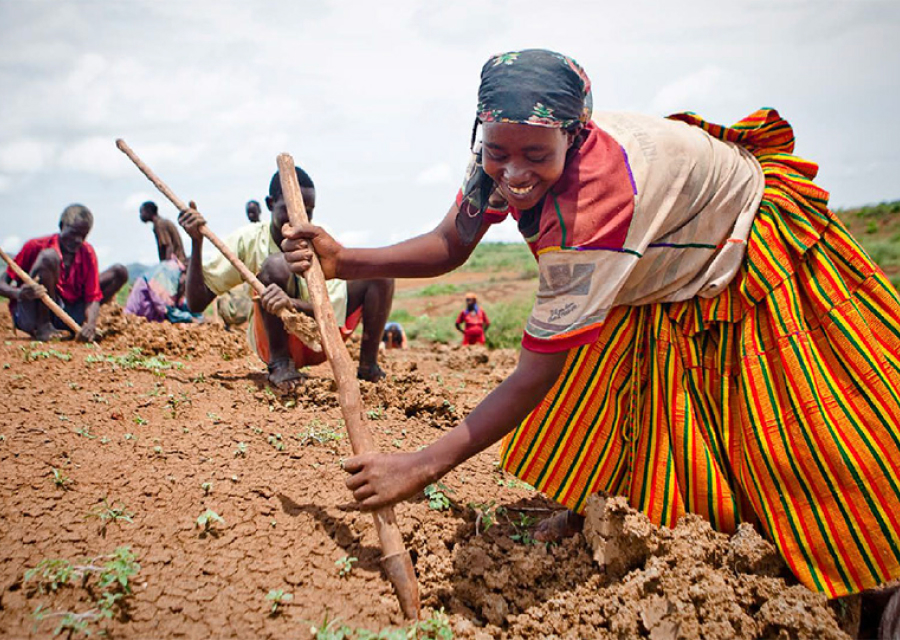 African woman planting a tree