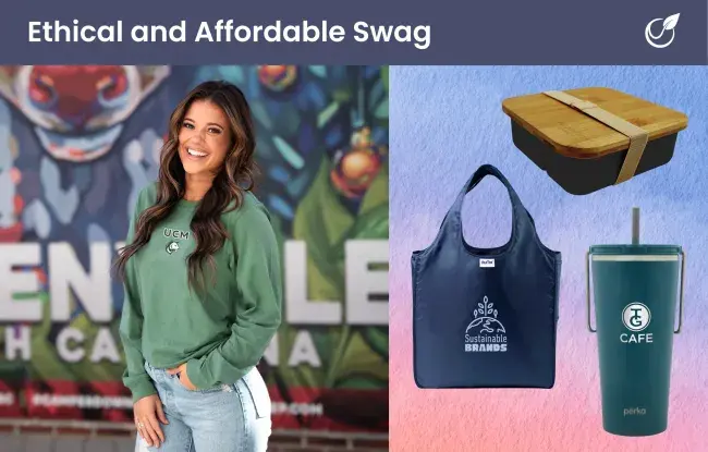 Ethical and affordable swag - organic long sleeve t-shirt, recycled tote bag, bento lunch box, recycled travel mug