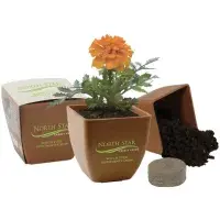 Growables
